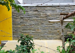 Garden-cladding-stones