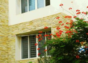 NaturalStone-Project-1