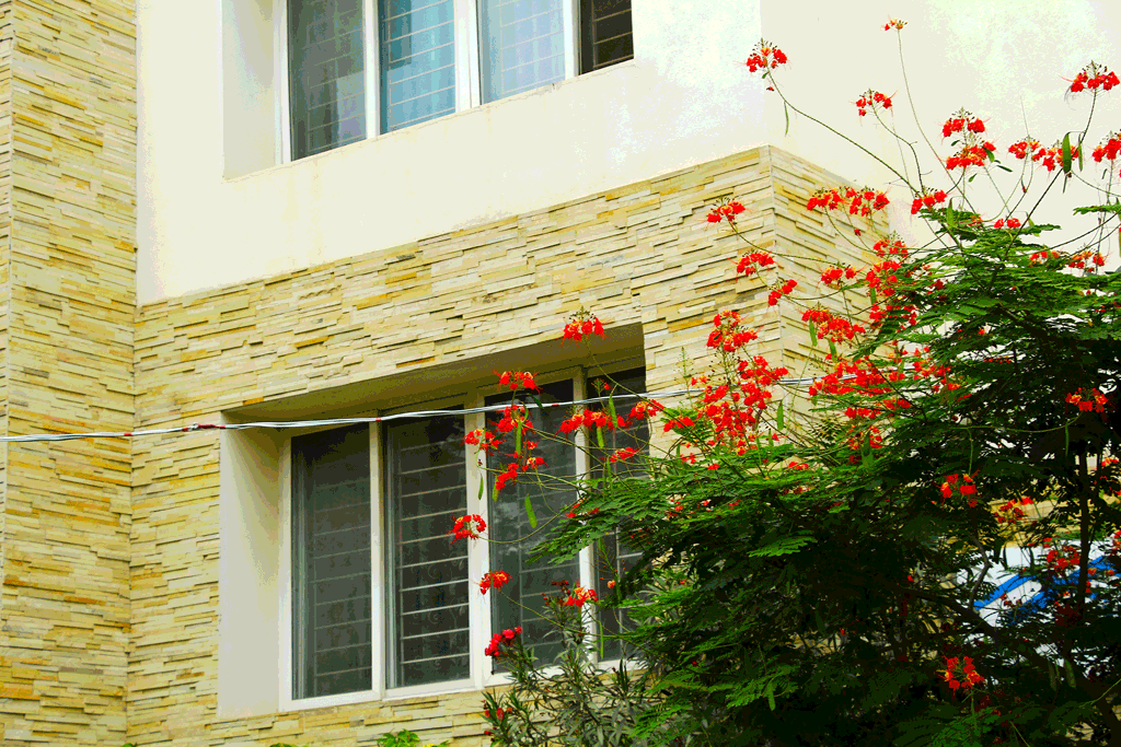NaturalStone-Project-1