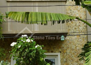 Mint-Stone-Cladding-ExteriorMint-Stone-Cladding-Exterior