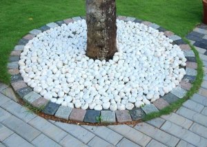 Pebble Stone in Bengaluru