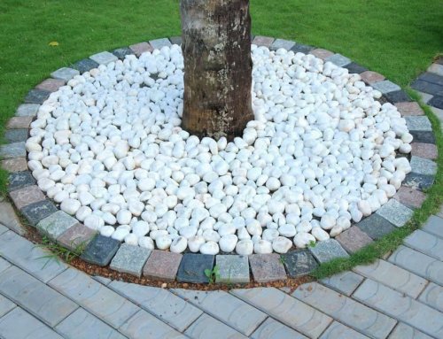 Pebble Stone in Bengaluru.