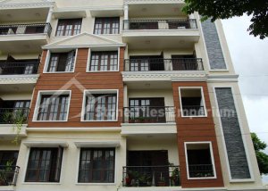 SilverShine-Cladding-For-Front-Elevation