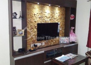 TV-Stone-Cladding-Bangalore