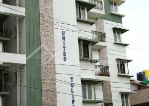 United Tulips Copper Stone Cladding Projects